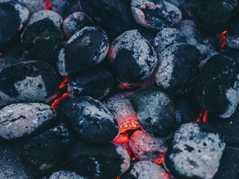 coal, cookout, barbecue-893208.jpg